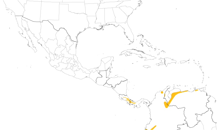 Range Map (Central): Black-and-white Becard