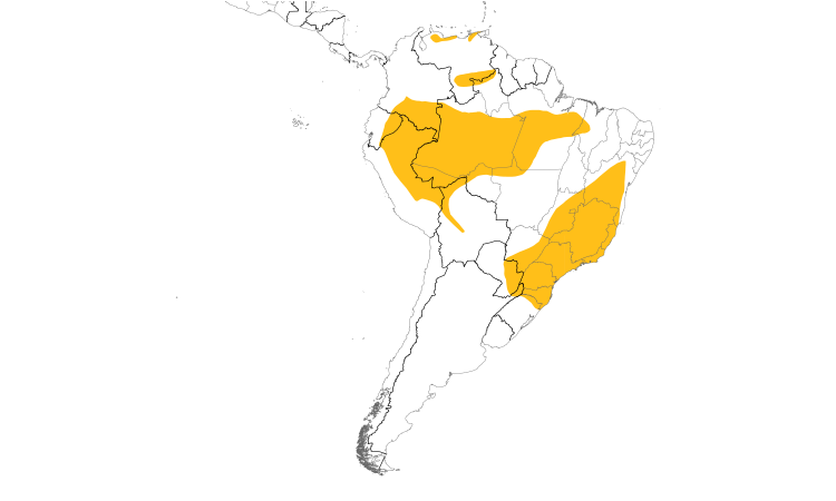 Range Map (South): Chestnut-crowned Becard