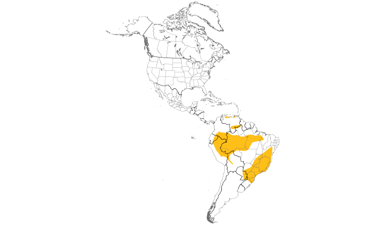 Range Map (Americas): Chestnut-crowned Becard