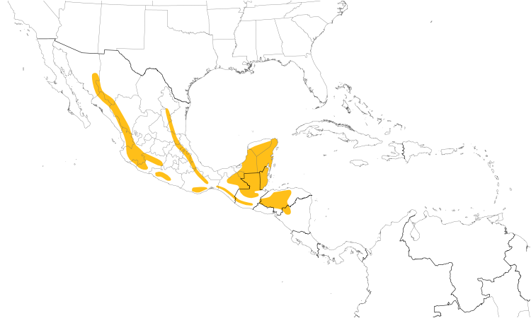 Range Map (Central): Gray-collared Becard