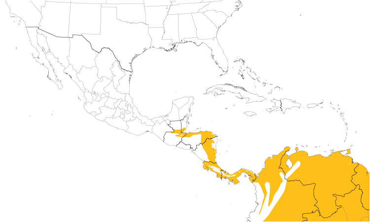 Range Map (Central): White-winged Becard