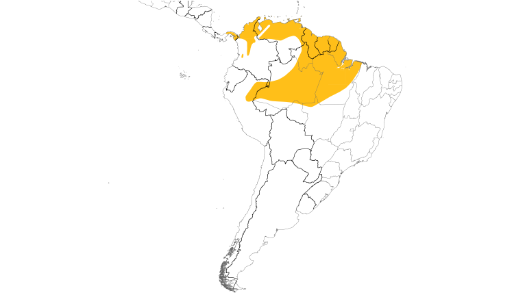 Range Map (South): Cinereous Becard