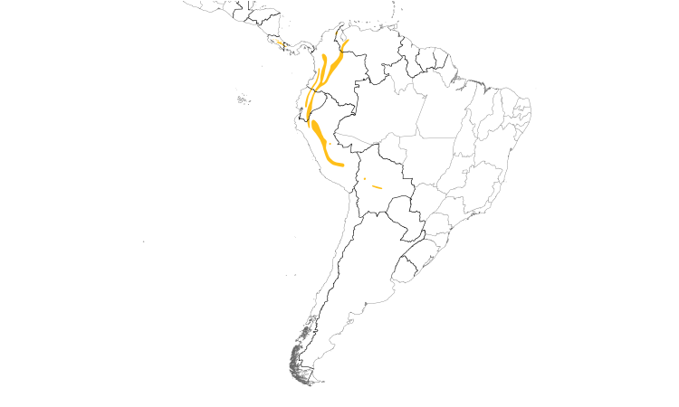 Range Map (South): Barred Becard