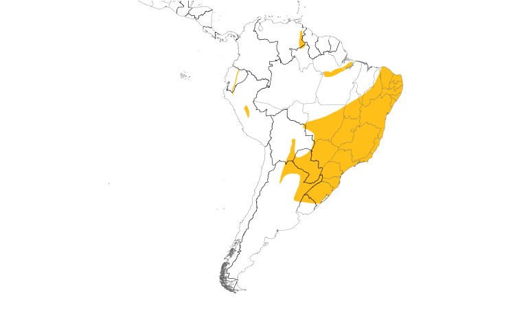 Range Map (South): Green-backed Becard