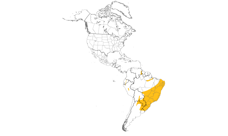 Range Map (Americas): Green-backed Becard