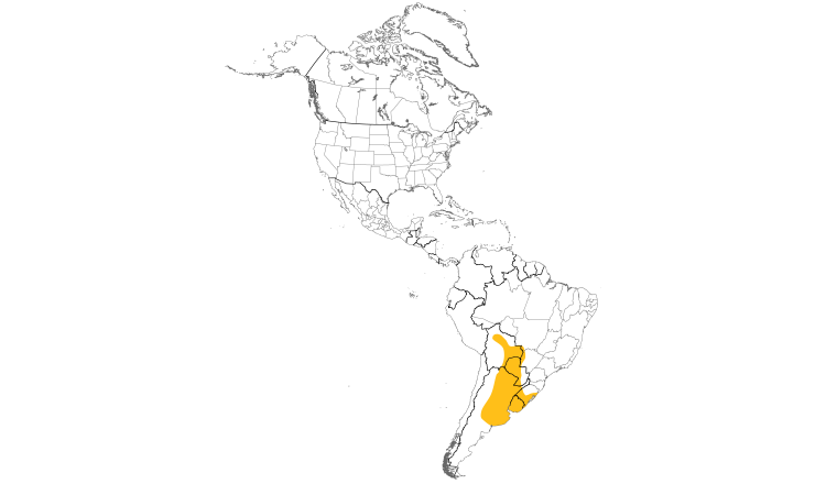 Range Map (Americas): Red-crested Cardinal