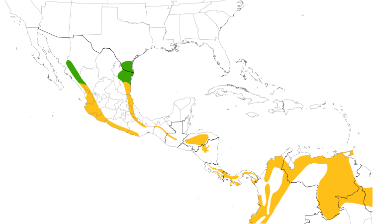 Range Map (Central): Tropical Parula