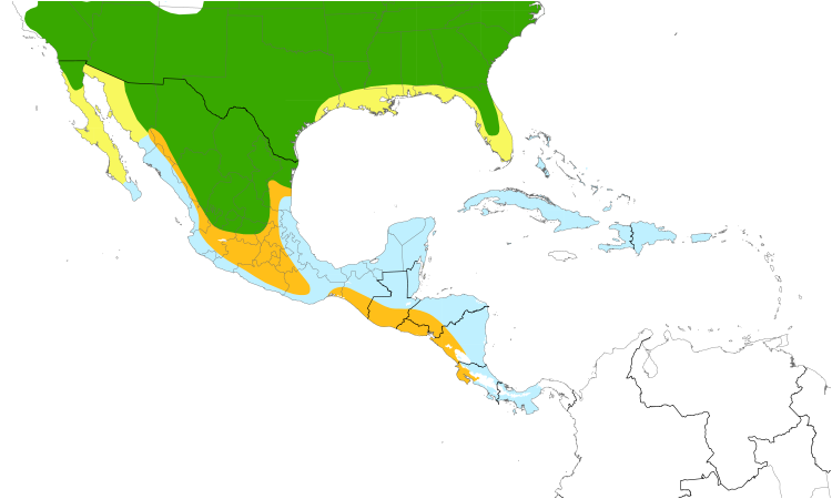 Range Map (Central): Blue Grosbeak