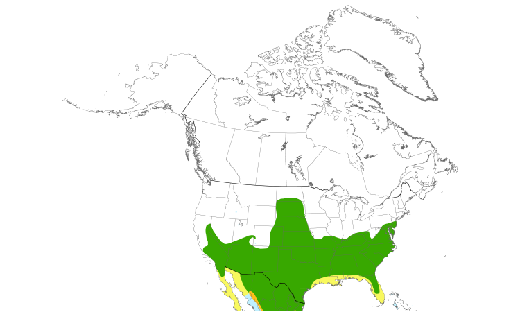 Range Map (North): Blue Grosbeak