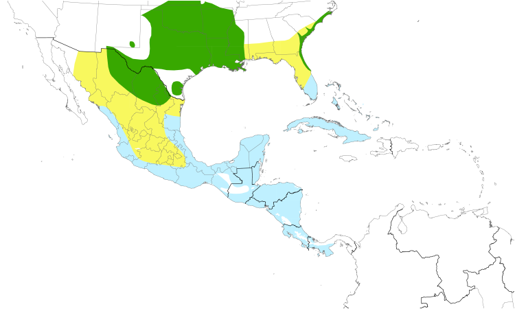 Range Map (Central): Painted Bunting