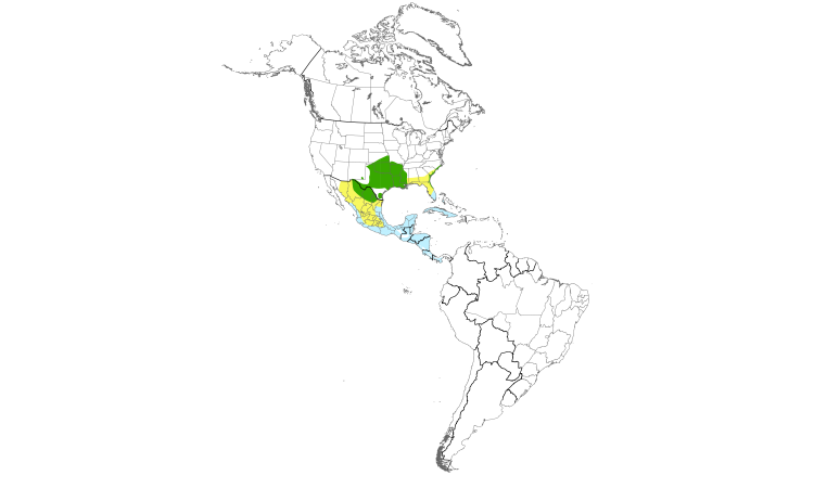 Range Map (Americas): Painted Bunting