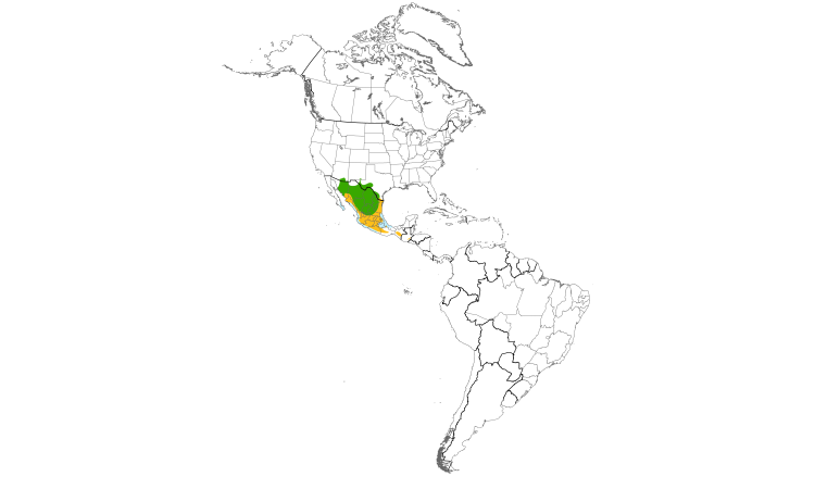 Range Map (Americas): Varied Bunting