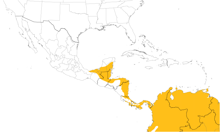 Range Map (Central): Pale-vented Pigeon