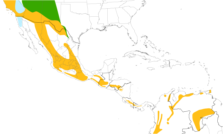 Range Map (Central): Band-tailed Pigeon