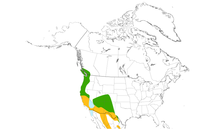 Range Map (North): Band-tailed Pigeon