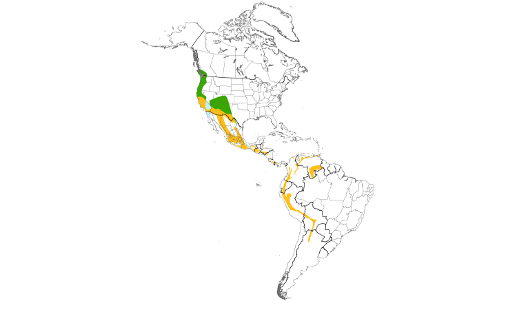Range Map (Americas): Band-tailed Pigeon
