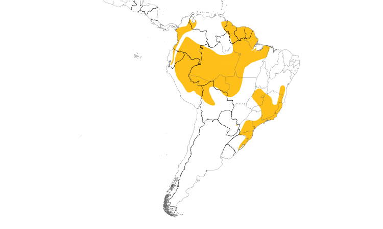 Range Map (South): Plumbeous Pigeon