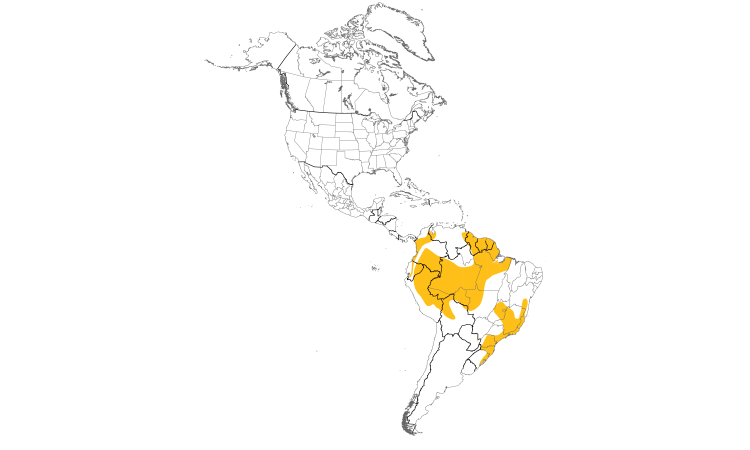 Range Map (Americas): Plumbeous Pigeon