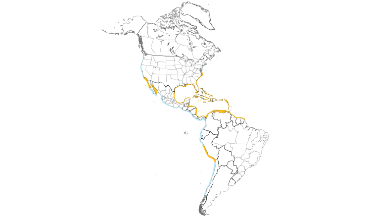 Range Map (Americas): Brown Pelican