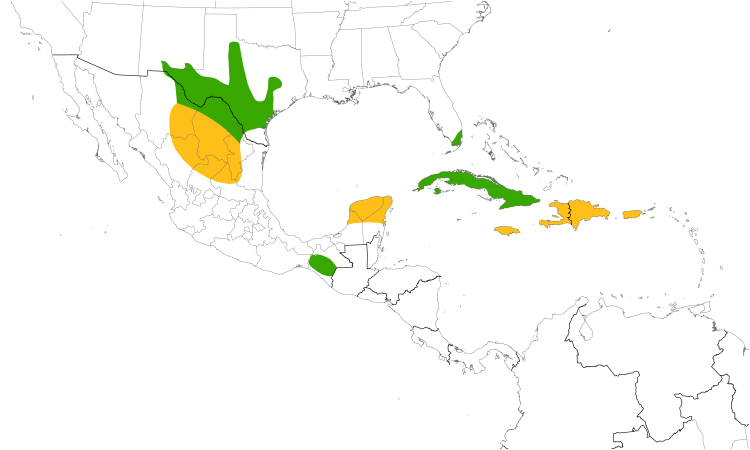 Range Map (Central): Cave Swallow