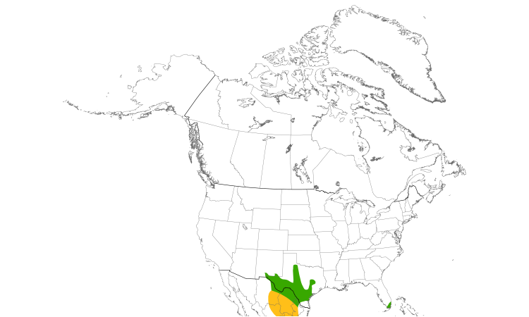 Range Map (North): Cave Swallow