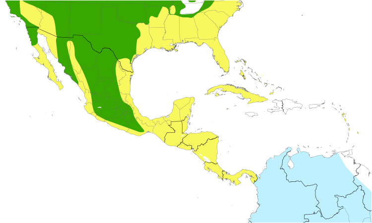 Range Map (Central): Cliff Swallow