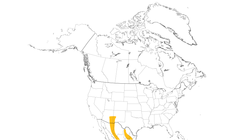 Range Map (North): Olive Warbler