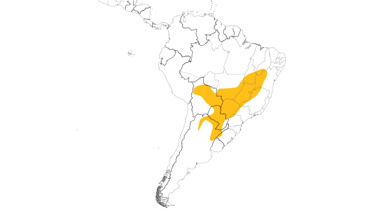 Range Map (South): Greater Thornbird