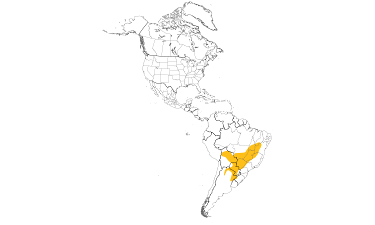 Range Map (Americas): Greater Thornbird