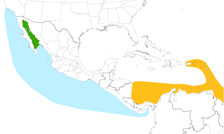 Range Map (Central): Red-billed Tropicbird