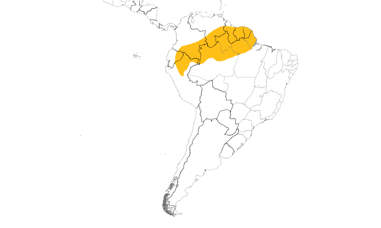 Range Map (South): Straight-billed Hermit