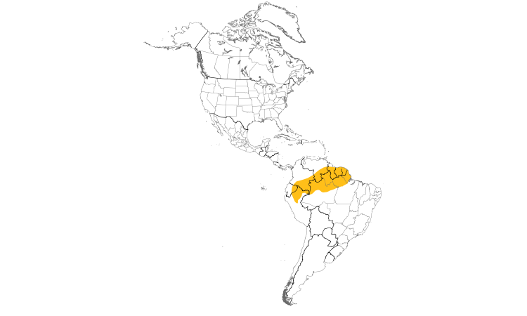 Range Map (Americas): Straight-billed Hermit