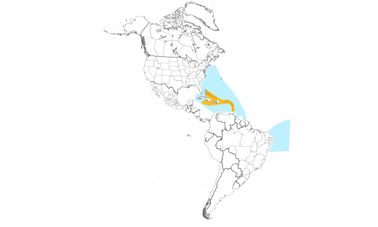 Range Map (Americas): White-tailed Tropicbird