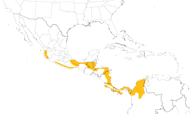 Range Map (Central): Long-billed Hermit