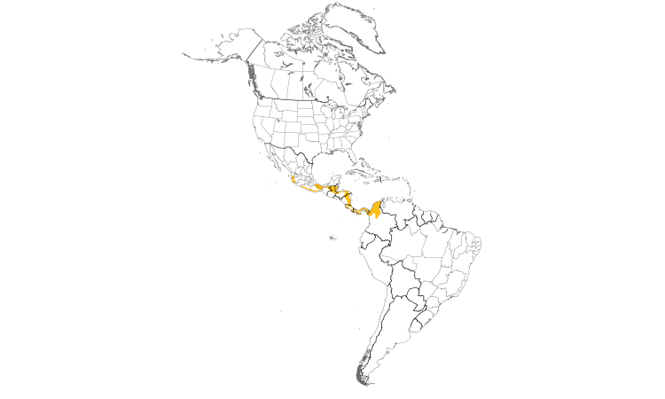 Range Map (Americas): Long-billed Hermit