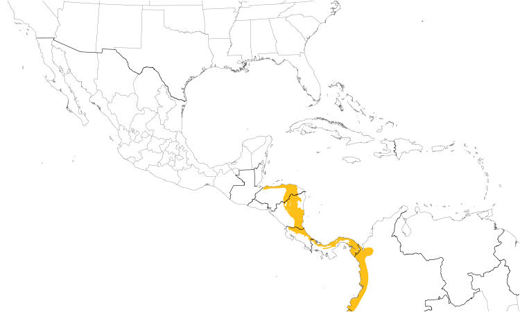 Range Map (Central): Ocellated Antbird