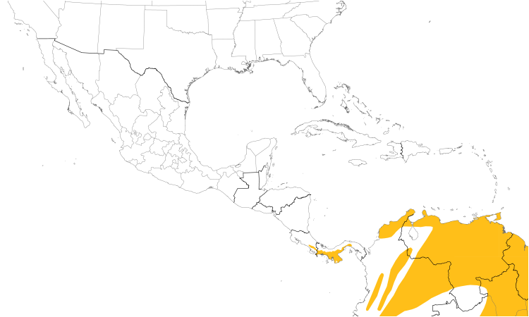 Range Map (Central): Mouse-colored Tyrannulet