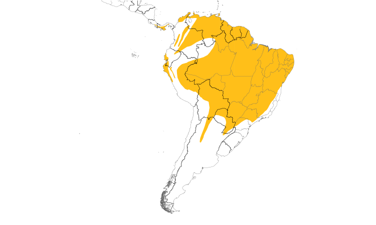 Range Map (South): Mouse-colored Tyrannulet