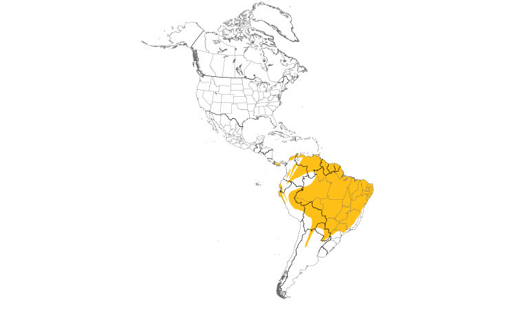 Range Map (Americas): Mouse-colored Tyrannulet