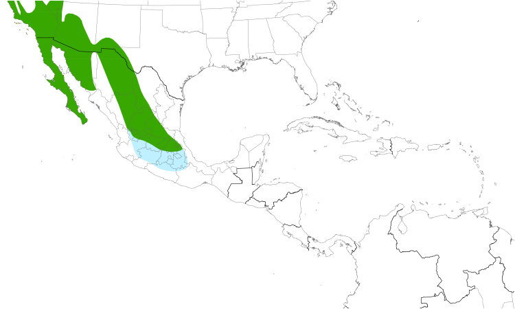 Range Map (Central): Phainopepla