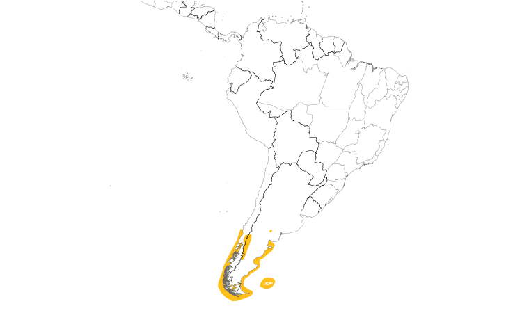 Range Map (South): Imperial Cormorant
