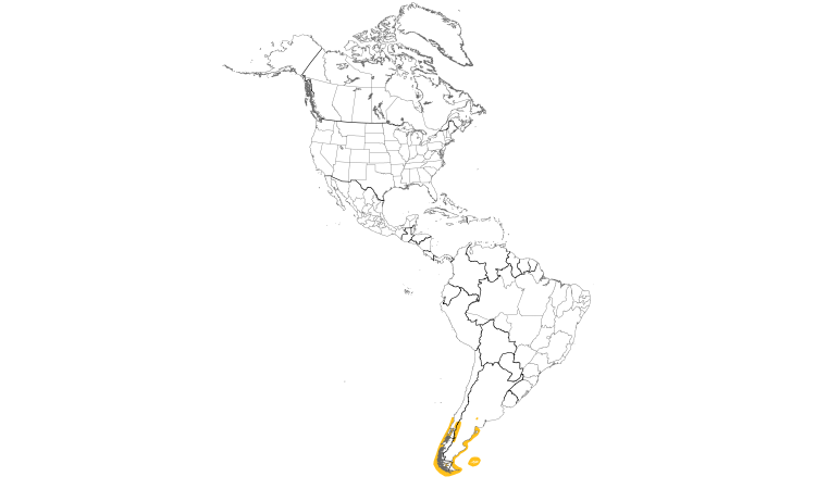 Range Map (Americas): Imperial Cormorant
