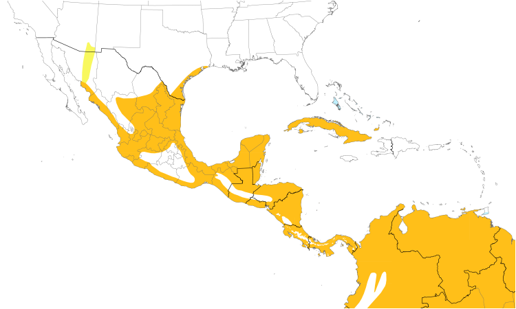 Range Map (Central): Neotropic Cormorant