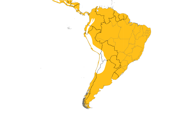 Range Map (South): Neotropic Cormorant