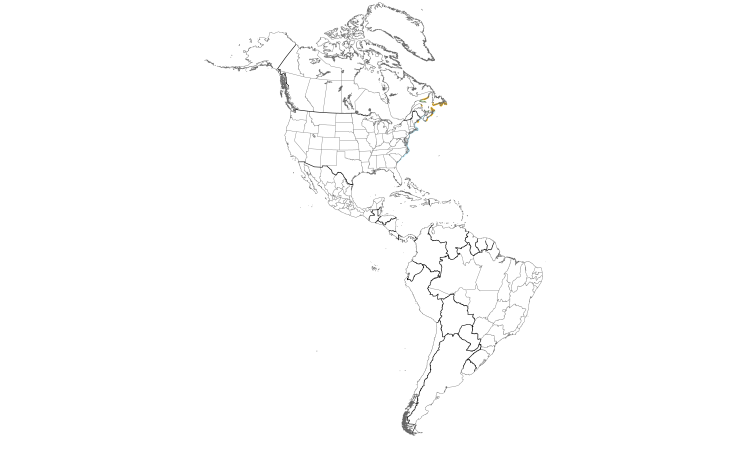 Range Map (Americas): Great Cormorant