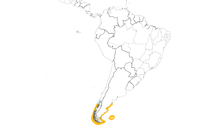 Range Map (South): Magellanic Cormorant