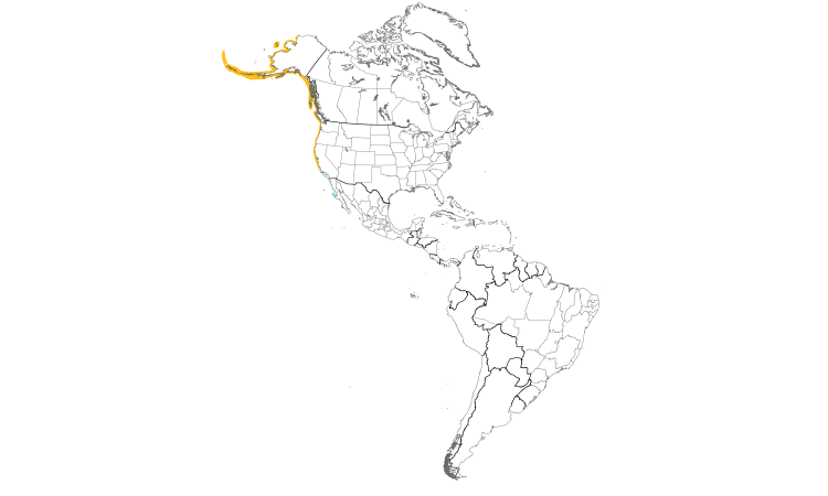 Range Map (Americas): Pelagic Cormorant