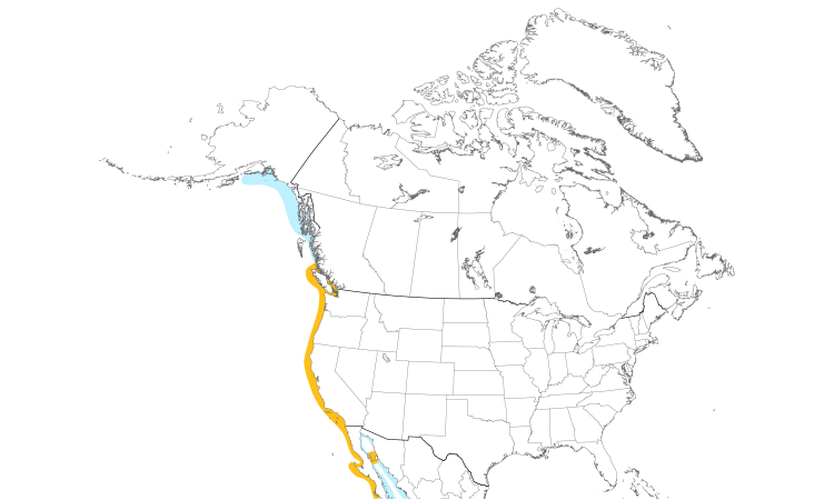 Range Map (North): Brandt's Cormorant