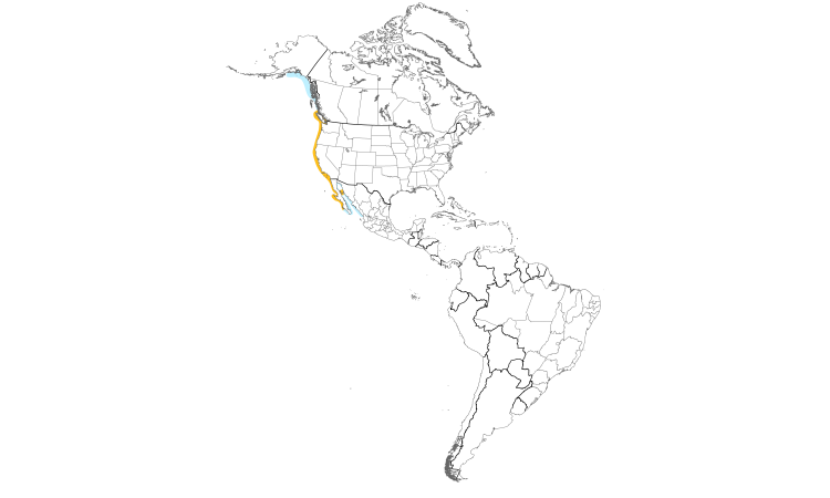 Range Map (Americas): Brandt's Cormorant