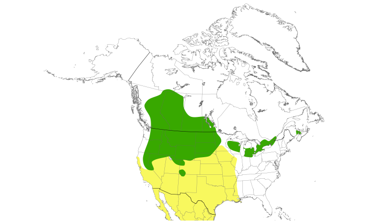 Carte de répartition  (North): Phalarope de Wilson